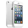 Apple iPhone 5 64Gb white - Кулебаки